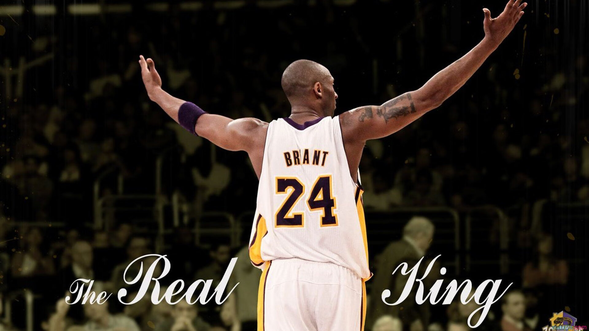 李娜亮相国际网球年会获致敬奖，李娜网球夺冠视频经典比赛